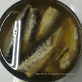 Canned Sardines Preservatives in Oil